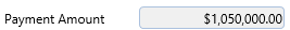 17. Payment Amount Field