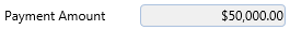 12. Payment Amount Field
