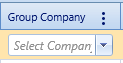 16. Group Company Field