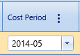 22.  Cost Period Field