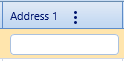 2. Address 1 Field