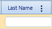 3. Last Name Field