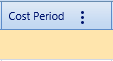 17.  Cost Period Field