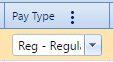 8. Pay Type Field