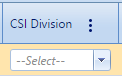 9. CSI Division Field