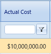 11. Actual Cost Field