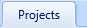 1. Projects Tab