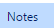 4. Notes Tab