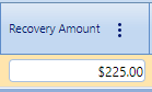 9. Recovery Amount Field