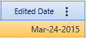 6. Edited Date Field