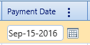 8. Payment Date Field