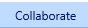 13. Collaborate Tab