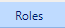 4. Roles Tab
