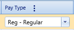 13.  Pay Type Field