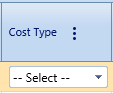 37.  Cost Type Field