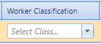 4. Worker Classification Field