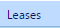 6. Leases Tab