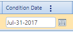 8. Condition Date Field