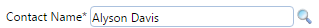 1. Contact Name* Field
