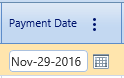 12.  Payment Date Field