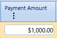 16.  Payment Amount Field