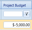 14. Project Budget Field