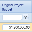 11. Original Project Budget Field