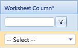 12. Worksheet Column* Field