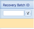 25. Recovery Batch ID