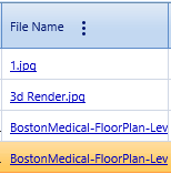 6. File Name Field