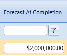 18. Forecast At Completion Field