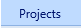 1. Projects Tab