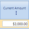 10. Current Amount Field