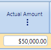 6. Actual Amount Field