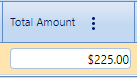 11. Total Amount Field