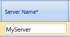 10. Server Name*