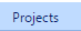 7. Projects Tab