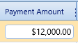 9. Payment Amount Field