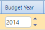3. Budget Year Field