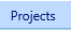 4. Programs Projects Tab