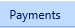 7. Payments Tab