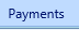 8. Payments Tab