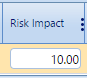 12. Risk Impact Field