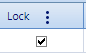 8. Locked Checkbox