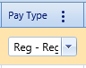 11. Pay Type Field