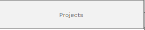 2. PROJECTS SUBTAB