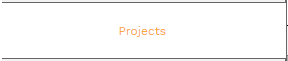2. PROJECTS SUBTAB