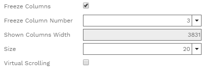 4. OPTIONS SECTION